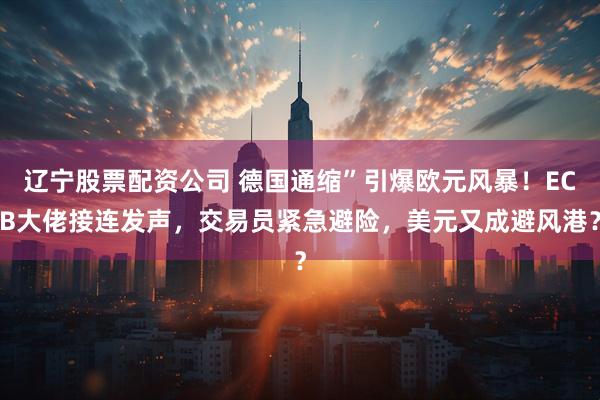 辽宁股票配资公司 德国通缩”引爆欧元风暴！ECB大佬接连发声，交易员紧急避险，美元又成避风港？