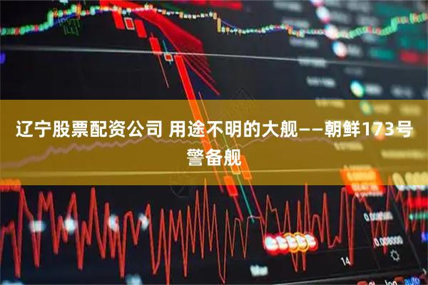 辽宁股票配资公司 用途不明的大舰——朝鲜173号警备舰
